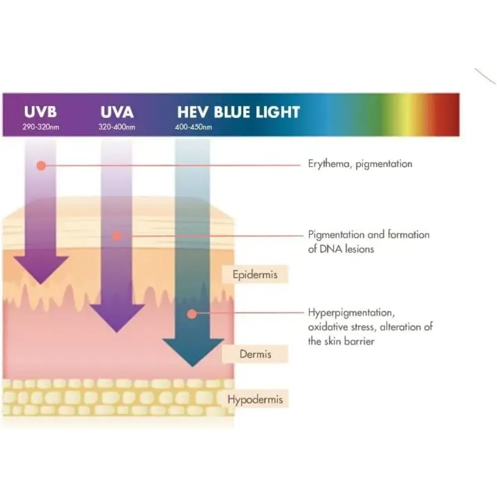 Avene Ultra Broad Spectrum Fragrance Free Fluid For Normal To Combination Sensitive Skin SPF50+